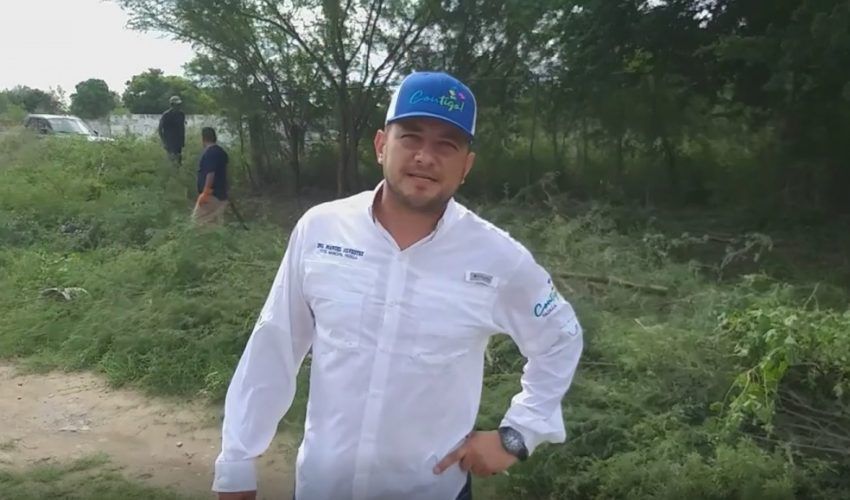 Limpieza y despeje de caminos
